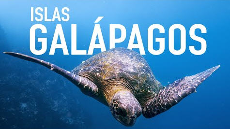  Galapagos Vax Requirement Quickly Rescinded – A Very Good Sign!